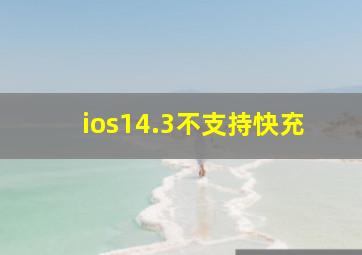 ios14.3不支持快充