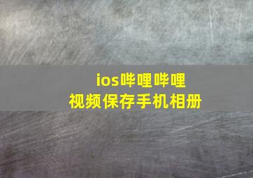 ios哔哩哔哩视频保存手机相册