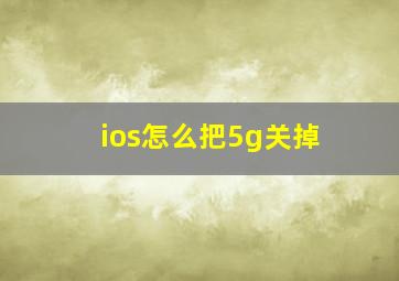 ios怎么把5g关掉