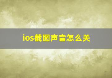 ios截图声音怎么关