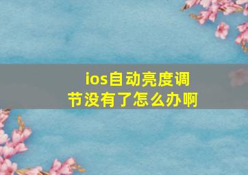 ios自动亮度调节没有了怎么办啊