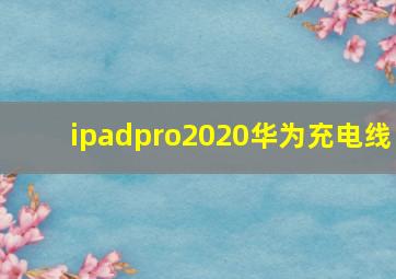 ipadpro2020华为充电线