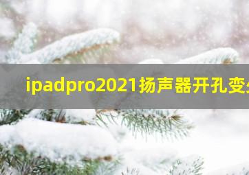 ipadpro2021扬声器开孔变少