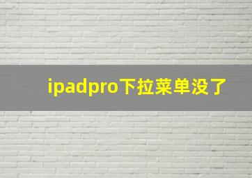 ipadpro下拉菜单没了