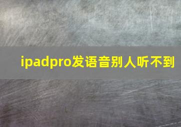 ipadpro发语音别人听不到