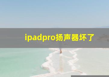 ipadpro扬声器坏了