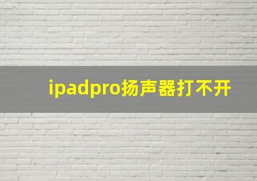 ipadpro扬声器打不开