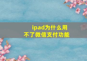 ipad为什么用不了微信支付功能