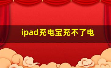 ipad充电宝充不了电