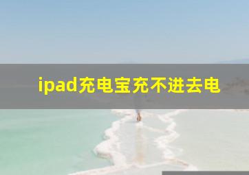 ipad充电宝充不进去电