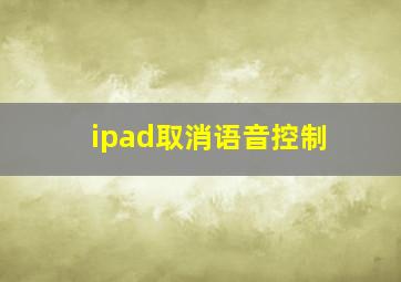 ipad取消语音控制