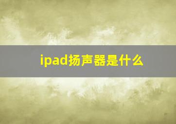 ipad扬声器是什么