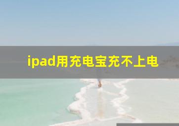 ipad用充电宝充不上电