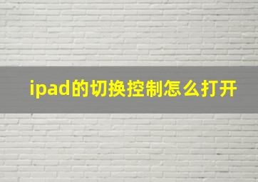 ipad的切换控制怎么打开