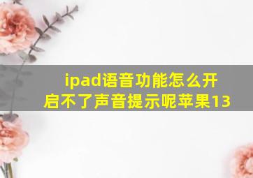 ipad语音功能怎么开启不了声音提示呢苹果13