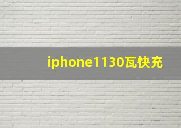 iphone1130瓦快充