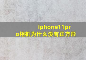 iphone11pro相机为什么没有正方形