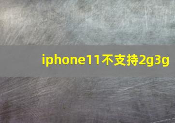 iphone11不支持2g3g