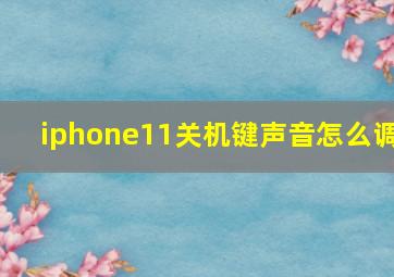 iphone11关机键声音怎么调