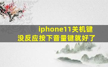 iphone11关机键没反应按下音量键就好了