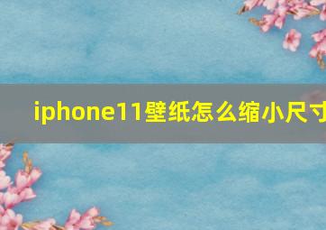 iphone11壁纸怎么缩小尺寸