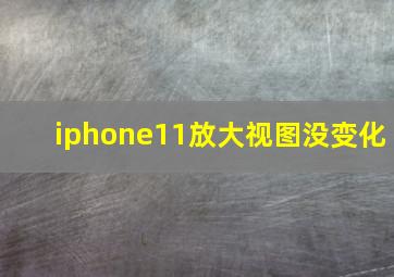 iphone11放大视图没变化