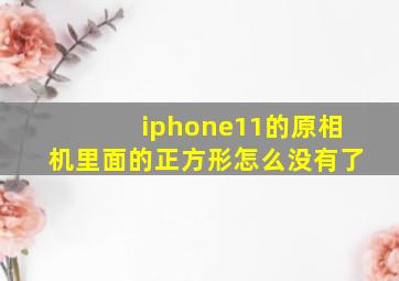 iphone11的原相机里面的正方形怎么没有了