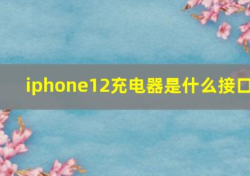 iphone12充电器是什么接口