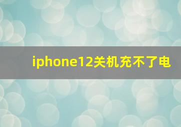 iphone12关机充不了电