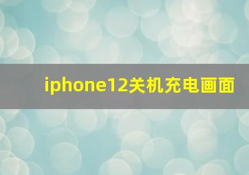 iphone12关机充电画面