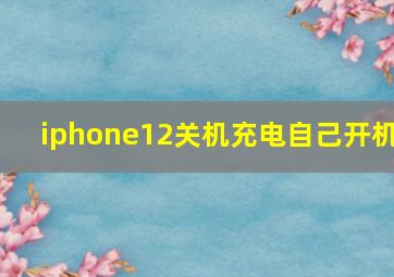 iphone12关机充电自己开机