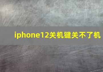 iphone12关机键关不了机