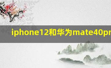 iphone12和华为mate40pro拍照