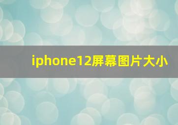 iphone12屏幕图片大小