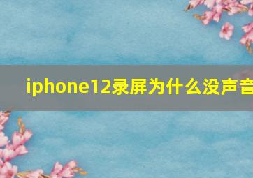 iphone12录屏为什么没声音