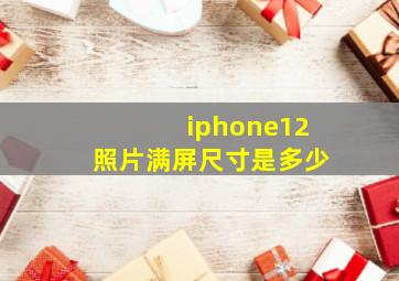 iphone12照片满屏尺寸是多少