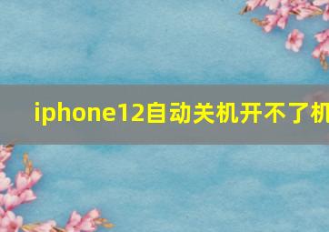 iphone12自动关机开不了机