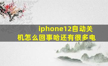 iphone12自动关机怎么回事哈还有很多电