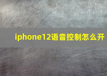 iphone12语音控制怎么开