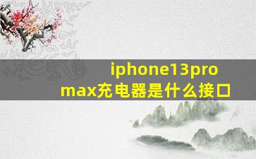 iphone13promax充电器是什么接口