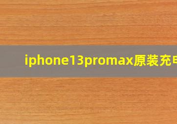 iphone13promax原装充电头