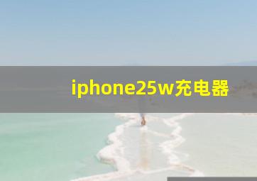 iphone25w充电器