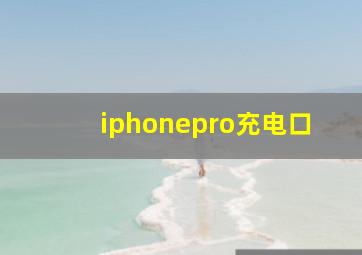 iphonepro充电口