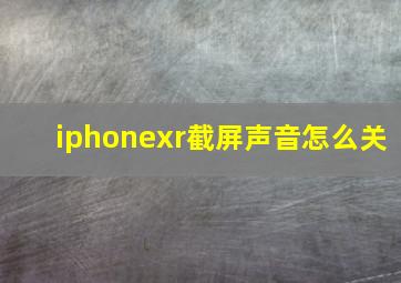 iphonexr截屏声音怎么关