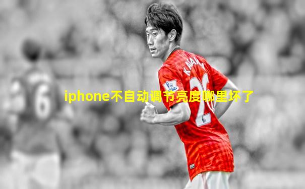 iphone不自动调节亮度哪里坏了