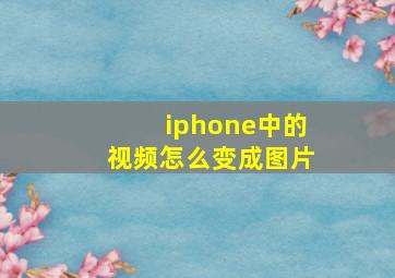 iphone中的视频怎么变成图片