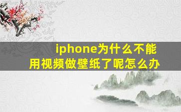 iphone为什么不能用视频做壁纸了呢怎么办