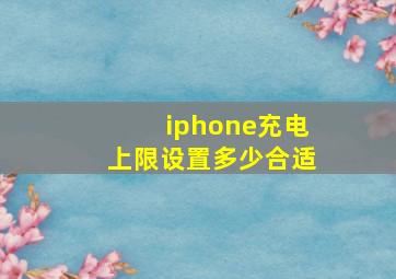 iphone充电上限设置多少合适