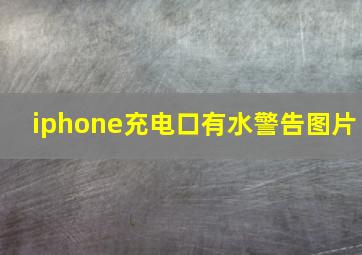 iphone充电口有水警告图片