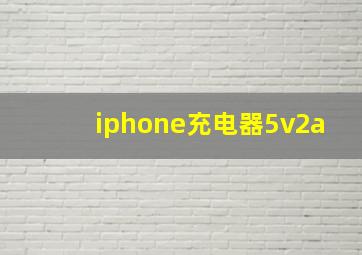 iphone充电器5v2a